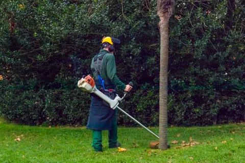 A worker mows the grass with a lawn mower. Stock Photos