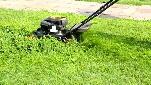 Worker mows the grass with a lawnmower Stock Footage 104903195