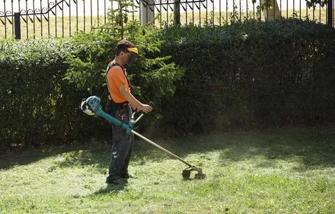 A worker mows grass with a mechanical trimmer. Improvement of a green lawn .. Stock Photos