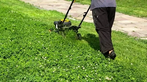 Worker mows the grass in the park with a lawnmower Stock Footage 104903106