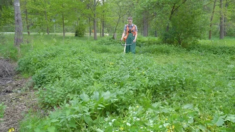 Worker mows grass with petrol pump Video stock 109066360