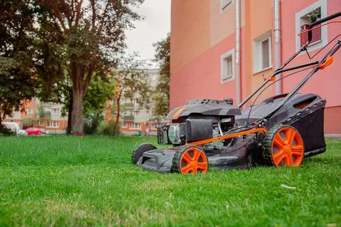 The worker mows the grass on the site, cares for the garden, uses a gasoline  Stock Photos