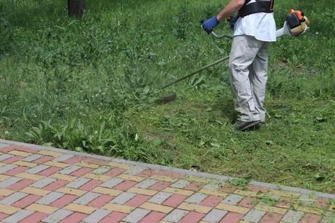 The worker mows the grass with a trimmer. Stock Photos