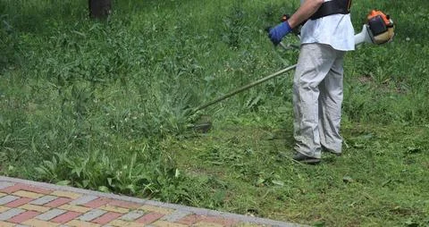 The worker mows the grass with a trimmer. Stock Photos