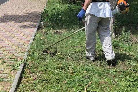 The worker mows the grass with a trimmer. Stock Photos