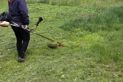 The worker mows the grass with a trimmer. Stock Photos