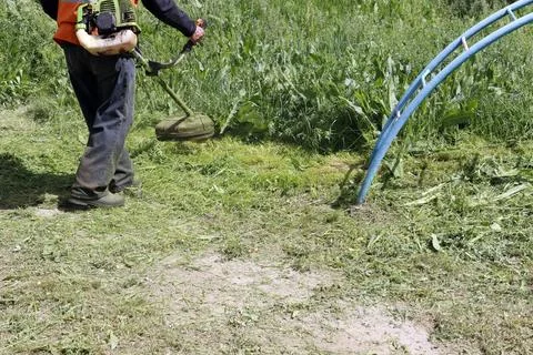 The worker mows the grass with a trimmer. Stock Photos