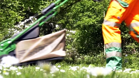 Worker mows the lawn with a lawn mower, mowing gras 動画素材 235009063