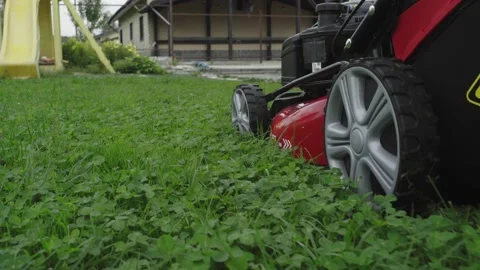 A worker mows the lawn pushing a lawn mower along the house Video stock 137978642