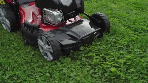 A worker mows the lawn pushing a lawn mower Video stock 137978674