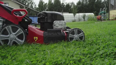 Worker mows the lawn pushing the lawn mower Stock Footage 137978771