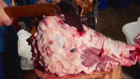 Worker opening pig skull with an ax Stock Footage 130807417