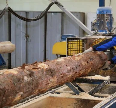 A worker operates a machine to process a large log into timber in a busy lumb Stock Photos