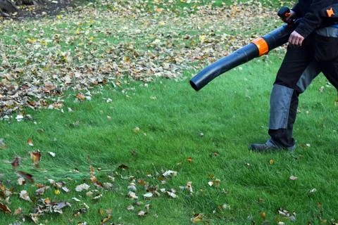 Worker operating heavy duty leaf blower in park. Stock Photos