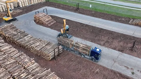A worker operating loader, modern wood processing factory, load freshly cut.. Stock Footage 279947411