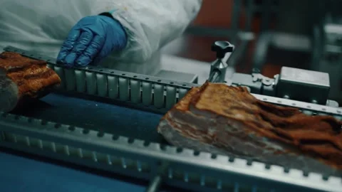 Worker is operating moving conveyor with cooced pork pieses Stock Footage 221721462