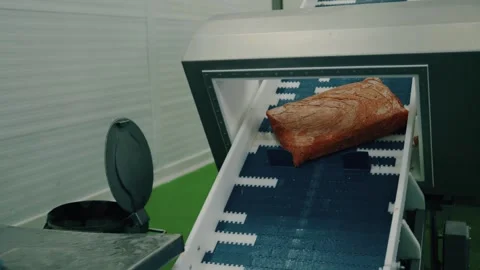 Worker is operating moving conveyor with raw meat Stock Footage 221721386