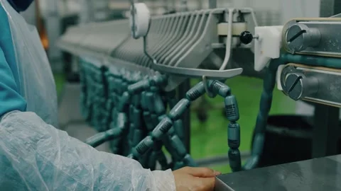 Worker operating moving conveyor with sausages Stock Footage 221721379