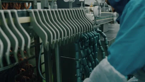 Worker operating moving conveyor with sausages Stock Footage 221721414
