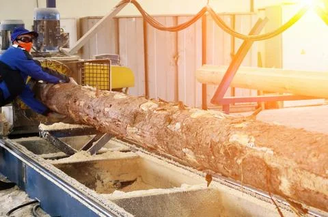 Worker operating a sawmill machine to cut a log into lumber at a wood proce.. Stock Photos