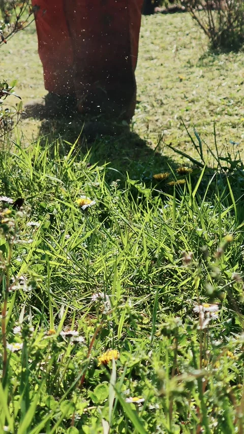 Worker in orange pants uses string trimmer to cut grass in a spring park. Stock Footage 332170729