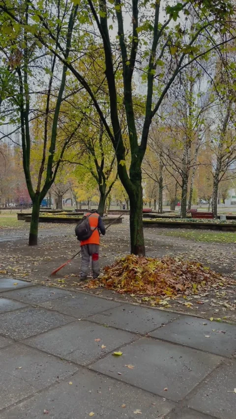 Worker in orange uniform is removing fallen autumn leaves from the ground Stock Footage 201900514