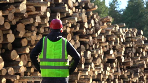 A worker in overalls stands next to a warehouse of logs harvested for Stock Footage 181936103