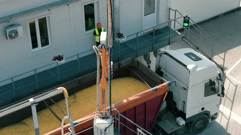 Worker overseeing grain loading into a truck at a facility. A worker wearing a Stock Footage 296054293