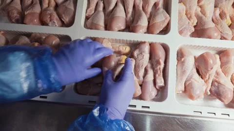 Worker packaging raw chicken drumsticks in a poultry processing plant Video stock 335038707