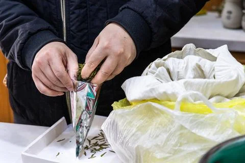 Worker packing processed longjing tea leaves into aluminium bag for sale Foto stock