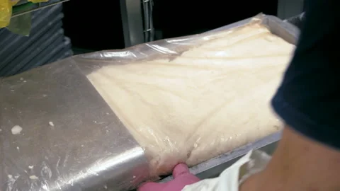 A worker packs pollock fillets into a packing bag on a conveyor belt. Stock Footage 161215471