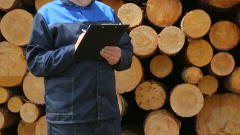 Worker with pad against pile of logs Stock Footage 95955498
