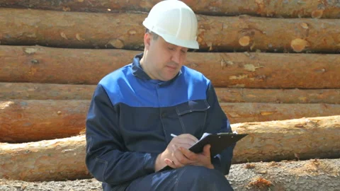 Worker with pad sitting on pile of logs 库存影片 95955689