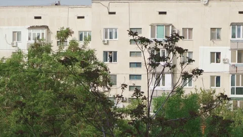 A worker paints a window frame in a multi-storey residential building Stock Footage 107988083