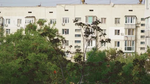 Worker paints a window frame in a multi-storey residential building close-up Stock Footage 107988162
