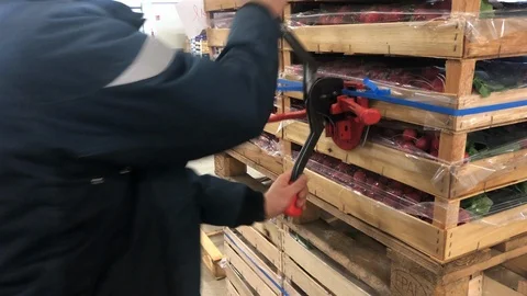 Worker: Pallet Stock Footage 103089777