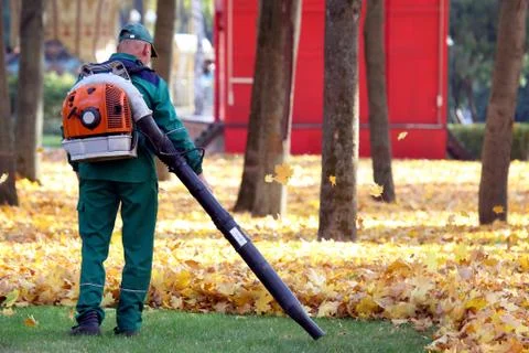 Worker in the Park cleans the grass from fallen leaves with the help of a win Stock Photos