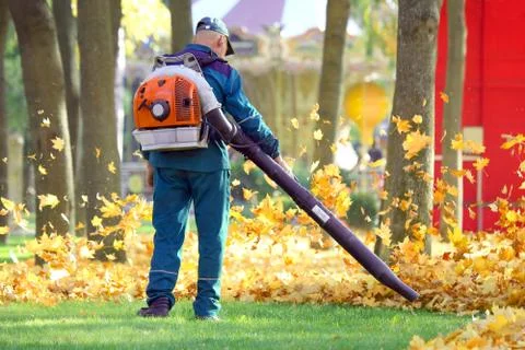 Worker in the Park cleans the grass from fallen leaves with the help of a win Stock Photos