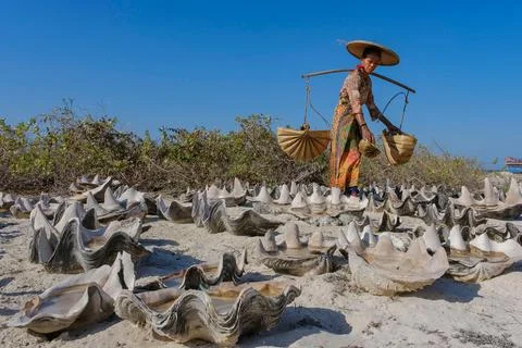 AT WORKER Stock Photos