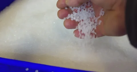Worker picking and dropping plastic pellets in blue container Stock Footage 301085300