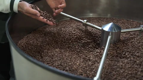Worker picking up coffee beans that roasting inside equipment at modern plant Stock-Footage 163571234