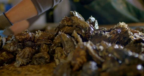 Worker piling oysters. Stock Footage 88372169