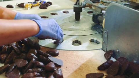 Worker placing chocolate candies into molding machine in confectionery factory Video stock 340604293