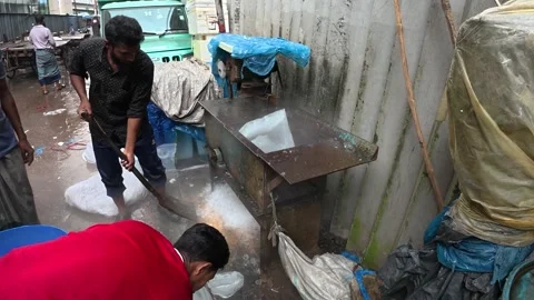 Worker Placing Crushed Ice on an Ice Processing Machine at Kawran Bazar, Vidéo 343154756
