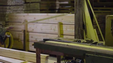 Worker is placing the timber material planks onto the industrial processing line Stock Footage 243816166