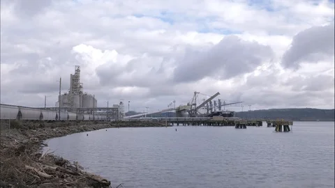 Worker Plant Timelapse Stock Footage 126985862