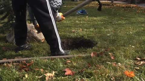Worker Planting A Tree Eco Concept Video stock 43805597