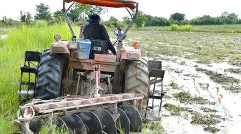 Worker ploughs a rice field Stock Footage 52677844