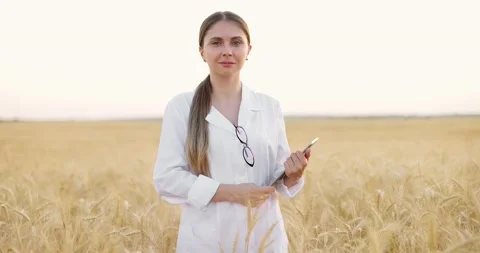 Worker posing in middle of wheat field at sunset.Agronomist in white uniform Video stock 157963505