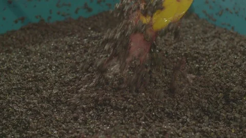 Worker pounding grapes in factory Stock Footage 87808643